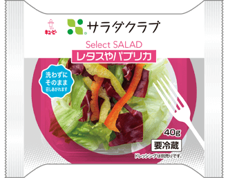Select SALAD(6種)