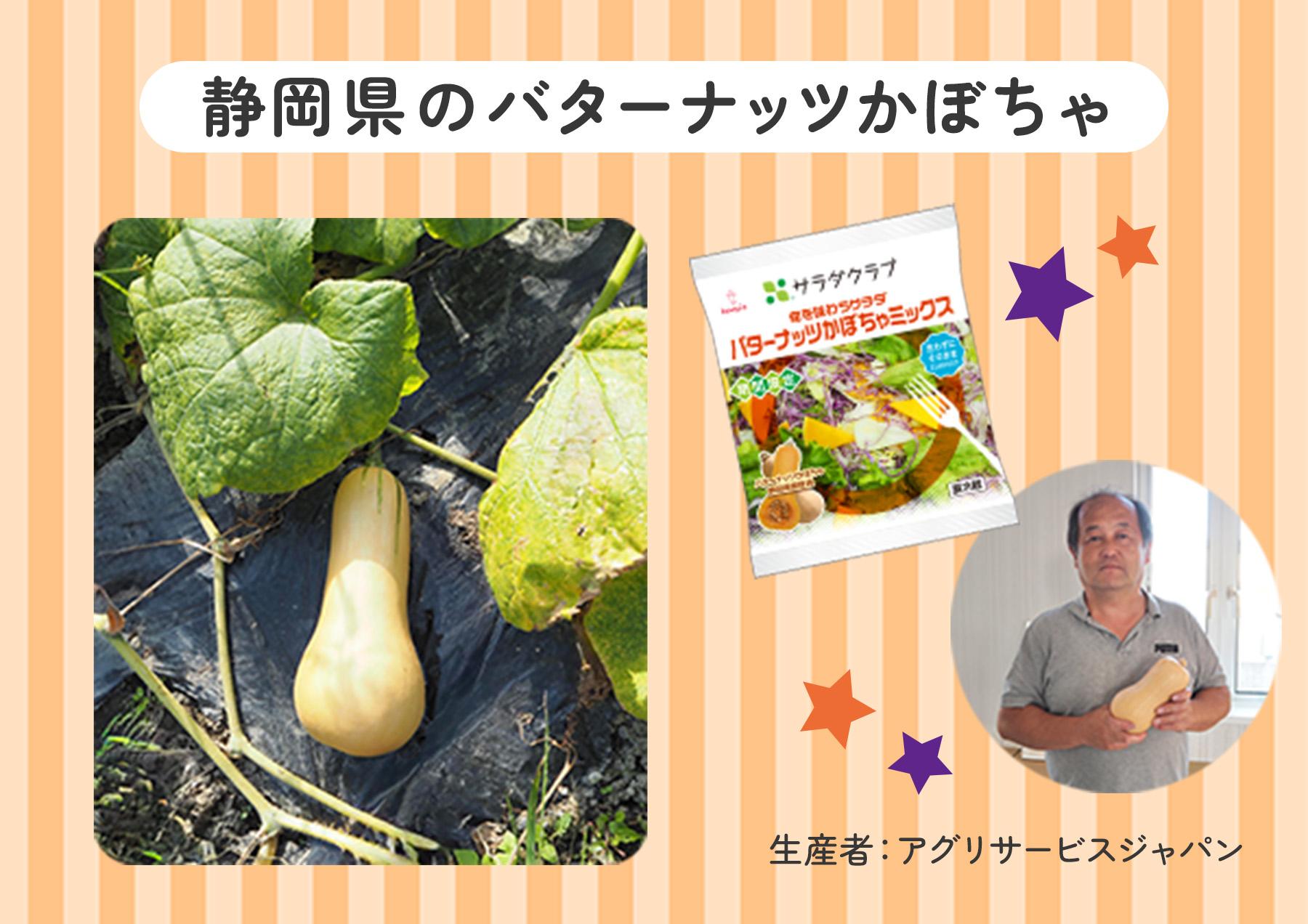 静岡県のバターナッツかぼちゃ。畑で育つバターナッツかぼちゃと生産者の方、「旬を味わうバターナッツかぼちゃミックス」のパッケージ