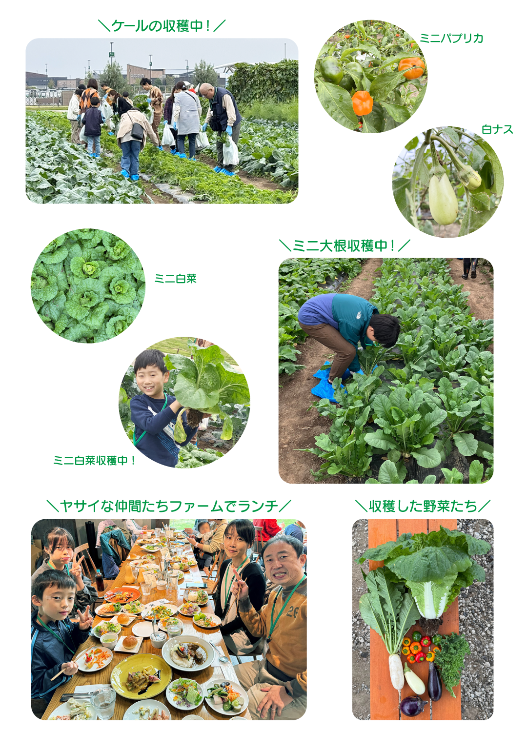 参加者の集合写真