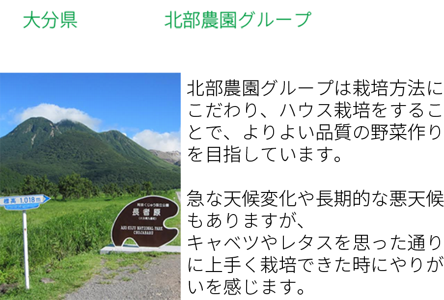北部農園グループ