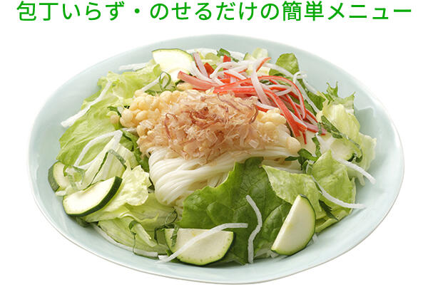 不足しがちな野菜を冷やし麺にあわせて手軽においしく お家で作るごちそうサラダ サラダ麺用 4月22日 水 から期間限定で新発売 会社案内 サラダクラブ