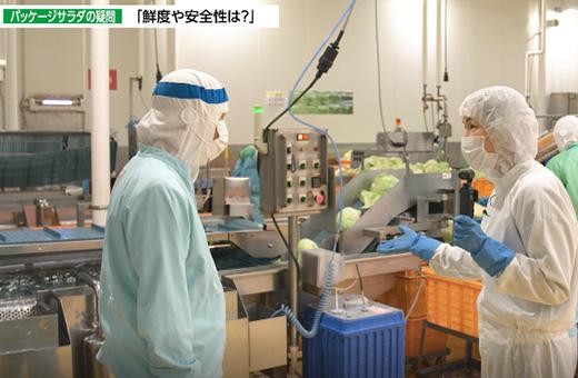 動画のキャプチャ画像