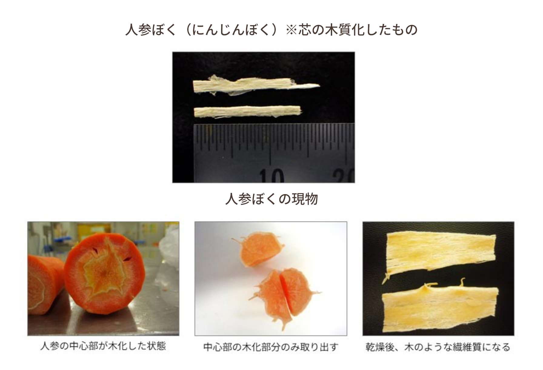 人参ぼく（にんじんぼく）