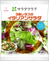 3種レタスのイタリアンサラダ 写真