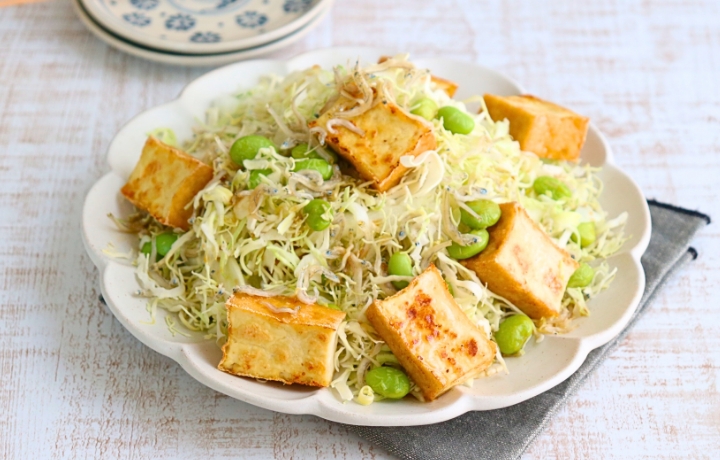 キャベツと厚揚げのおつまみサラダ 写真